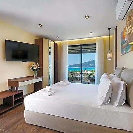 酒店 Brothers Seaview 萨索斯